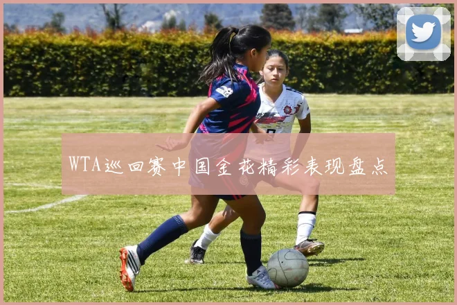 WTA巡回赛中国金花精彩表现盘点